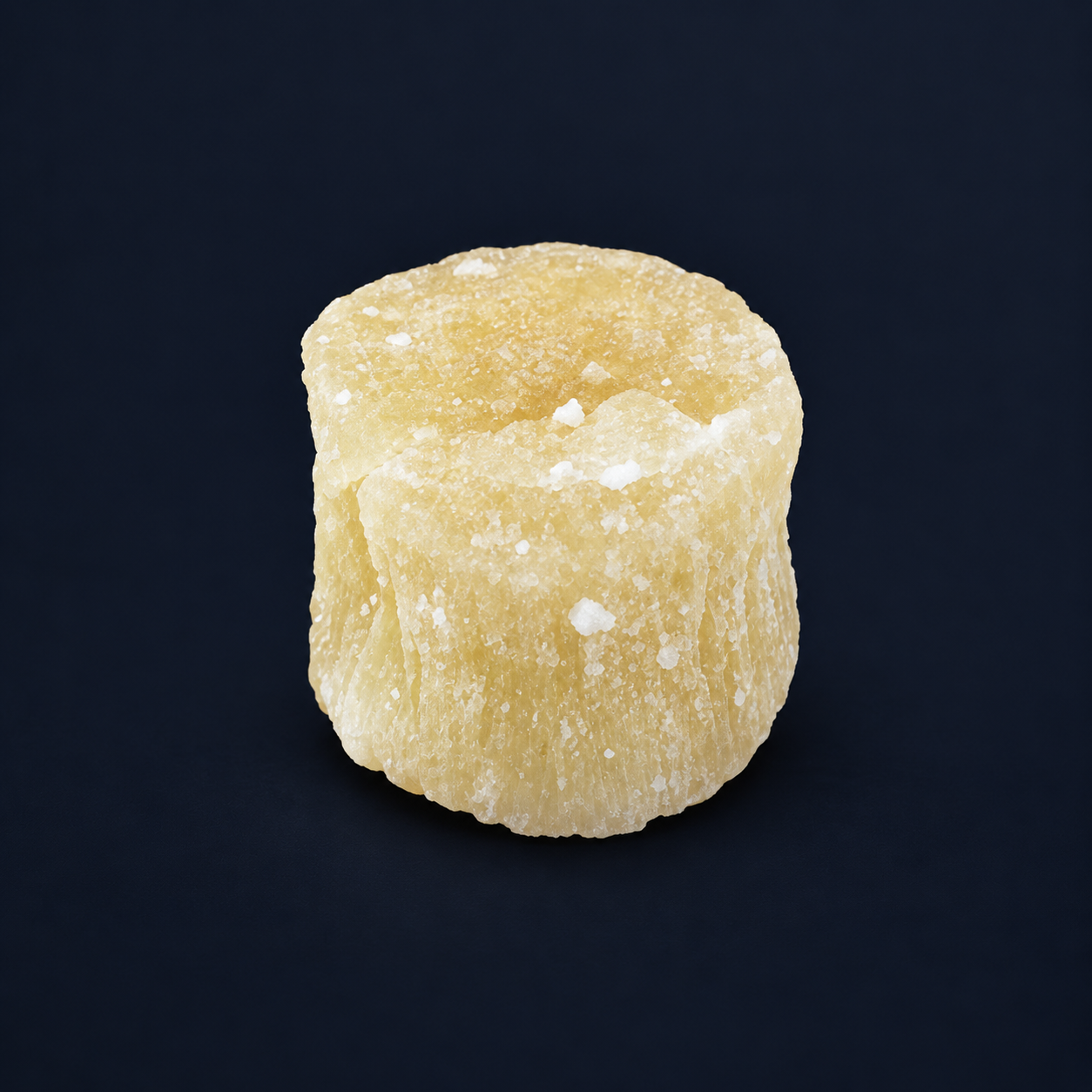 Single dried pineapple core chunk on a dark navy background