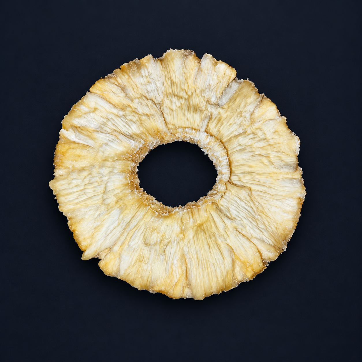 Single dried pineapple ring on a dark navy background